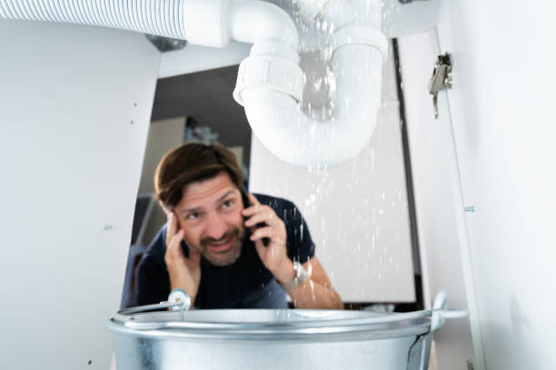Best Toilet Repair Services  in Dupo, IL