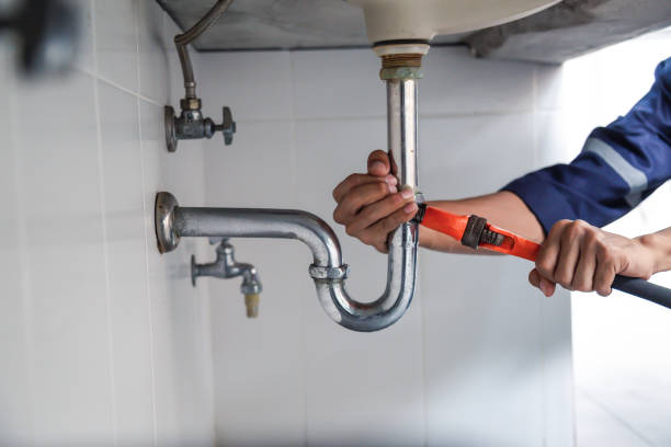 Best Same-Day Plumbing Service  in Dupo, IL